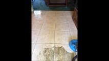 Royal Cleaning Service & Maintenance - (561) 889-6486