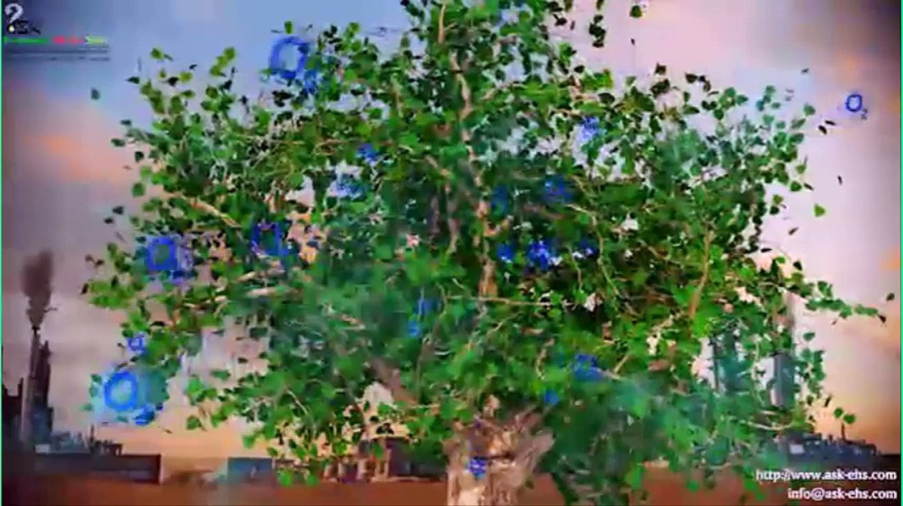 save tree