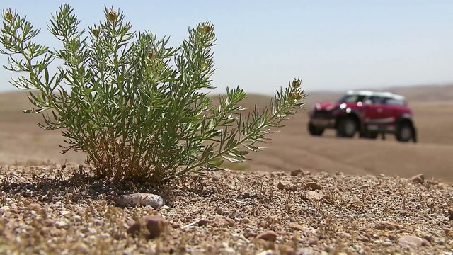 MINI John Cooper Works Rally Track Test Film