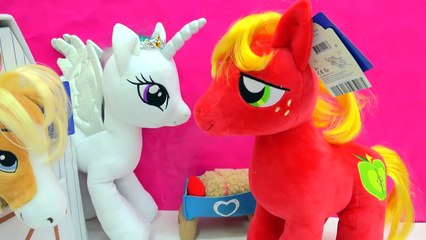 My Little Pony Big McIntosh & Hearts Riding Club Build A Bear Arabian Horse Video