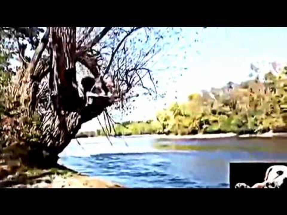 Funny مقاطع مضحكة 2016