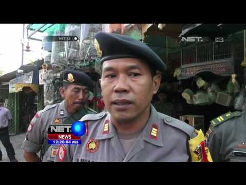Sidak Satwa Langka, Petugas Periksa Pasar Burung Gebang - NET 12