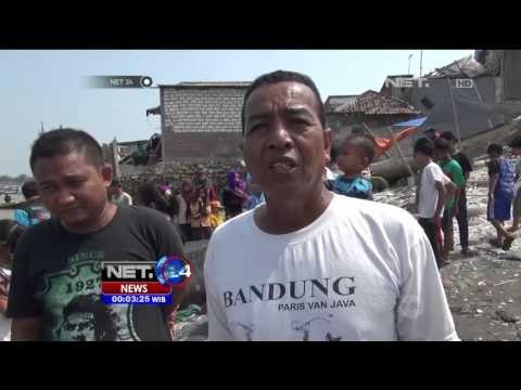 Seekor Hiu Paus Kembali Terdampar di Pesisir Timur Surabaya - NET24