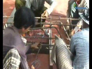 Election 2010 and Nay