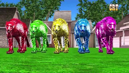 Black Lion Vs White Tiger Finger Family Nursery Rhymes For Kids || Cartoon Animated Rhymes