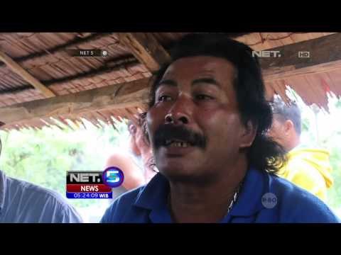 Ratusan Warga Kabupaten Bener Meriah Giring Puluhan Gajah Liar Kembali ke Hutan - NET5