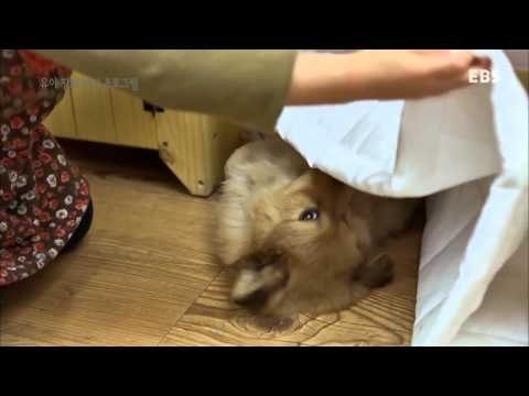 곰디와 친구들 - 우유는 따뜻해_#002