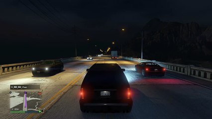 Grand Theft Auto V Crazy NPC