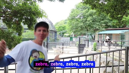 At The Zoo With Matt | Zoo Song For Children, Wild Animals | Learn English Kids