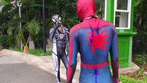 Power Rangers Squad vs Spiderman Color Team Superheroes Cosplay Real MEGAZORD Nerf Gun Act