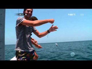 Wisata Terumbu Karang Labuan Bajo - NET24