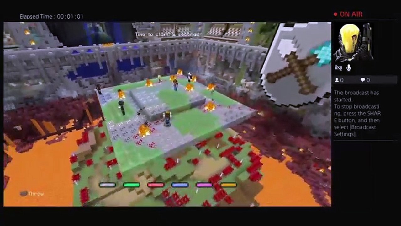 Minecraft (11)