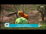 방귀대장 뿡뿡이 - Farting King Pung Pung_꼬물꼬물 애벌레_#001