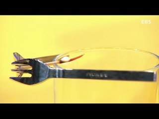 Why - 최고다! 호기심딱지 - 아슬아슬 삐뚜로 나라