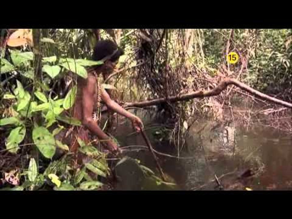 EBS 다큐프라임 - EBS Docuprime_아시아의 열대 1부 나무인간, 오랑뽀혼_#003