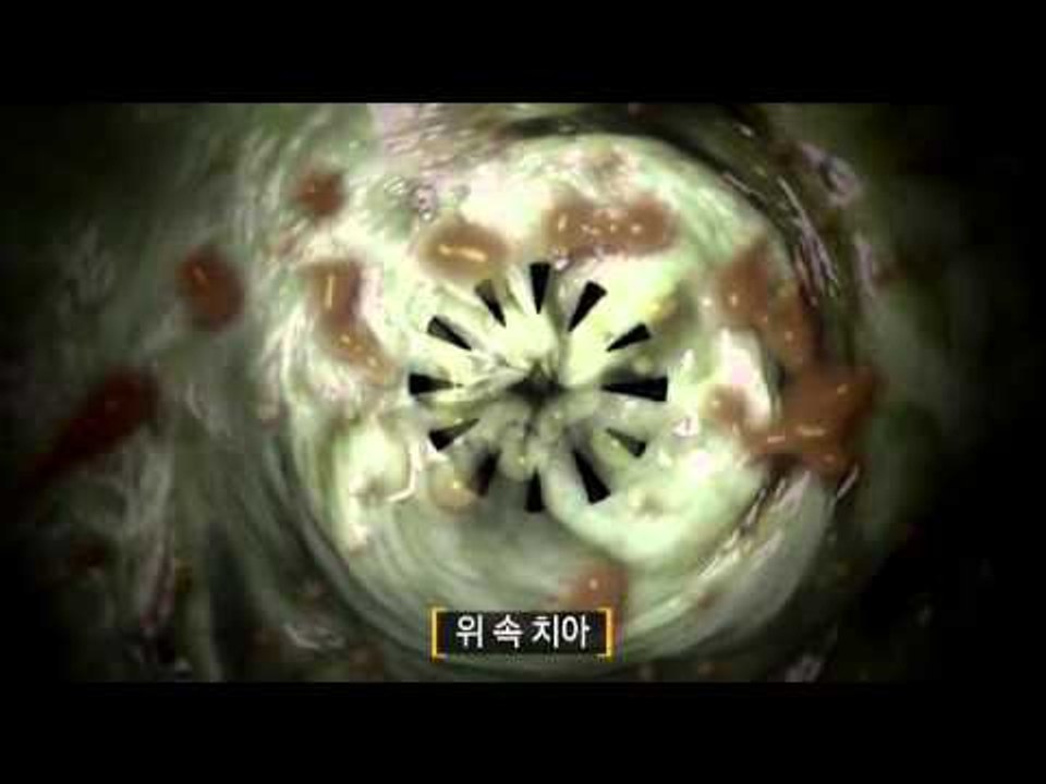 EBS 다큐프라임 - EBS Docuprime_바퀴 1부_인간의 동굴 바퀴의 도시_#002