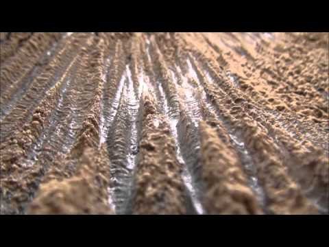 세계테마기행 - World theme travel_이스라엘 1부, 유대광야_#501