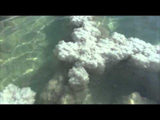 세계테마기행 - World theme travel_이스라엘 4부, 갈릴리에서 사해까지_#504