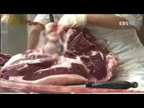 극한직업 - Extreme JOB_식육처리기능사 1부_#001