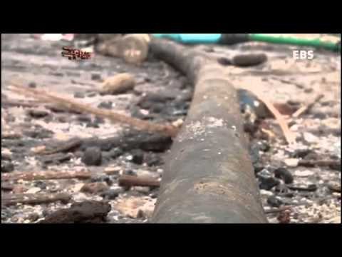 극한직업 - Extreme JOB_라오스 소금마을 1부_#001