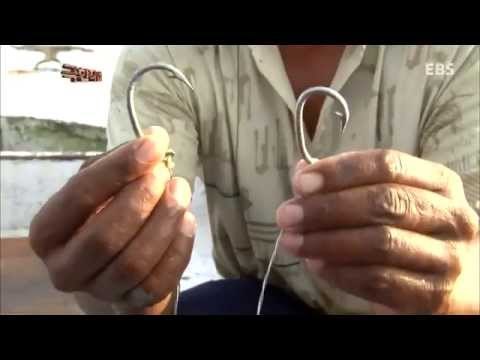 극한직업 - Extreme JOB_인도네시아 상어잡이 - 1부_#002