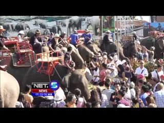 Elephant Parade di Thailand - NET5