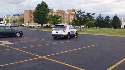 Turkey Chases Down Cop Car