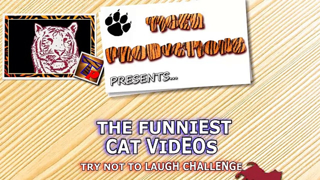 Funny videos