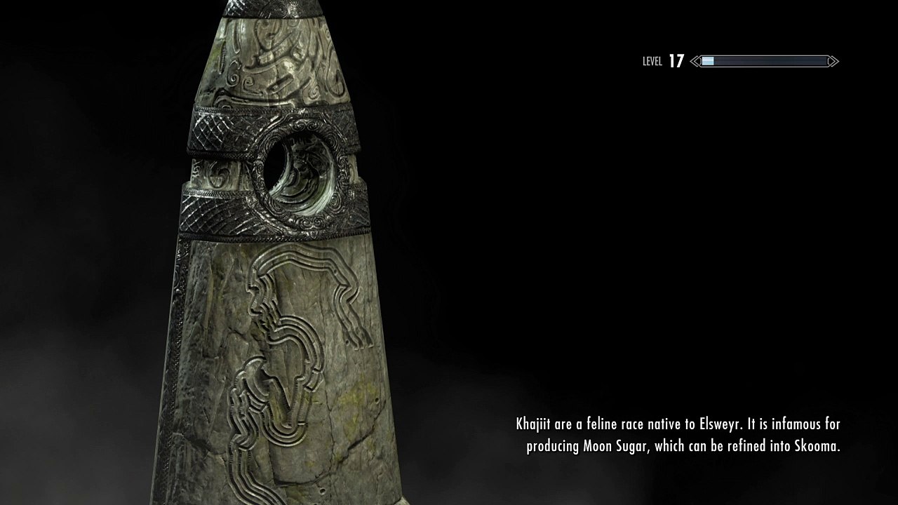 Skyrim: The Spaceman