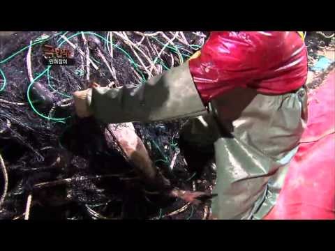 극한직업 - Extreme JOB_민어잡이-1부_#002