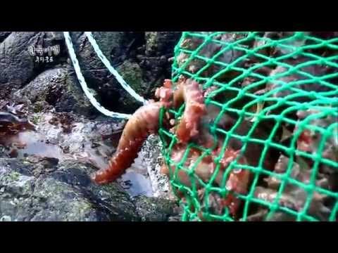 한국기행 - Korea travel_추자군도 3부 섬에게 안부를 묻다_#001