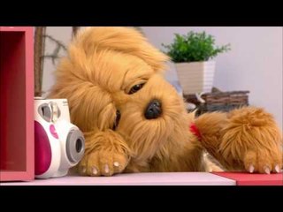 [EBS 핫도그] 핫도그 케이크