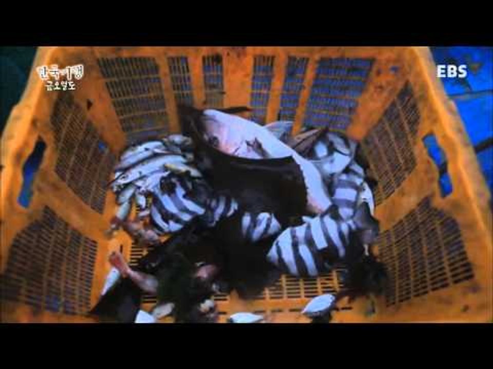 한국기행 - Korea travel_금오열도 3부 어부, 삶의 지혜를 낚다_#001