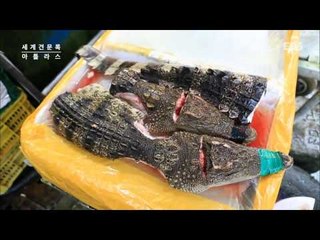 세계견문록 아틀라스 - ATLAS_요리의 탄생 광둥 딤섬_#001