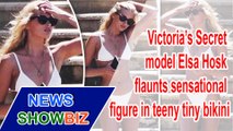 Victoria’s Secret model Elsa Hosk flaunts sensational figure in teeny tiny bikini