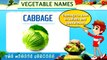 Vegetables vocabulary | Learn english vocabulary with Pictures Lesson 15