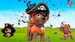 Baby Learning Songs! Paw Patrol Transforms Into Pirates, Finger Family Nursery Rhymes Songs