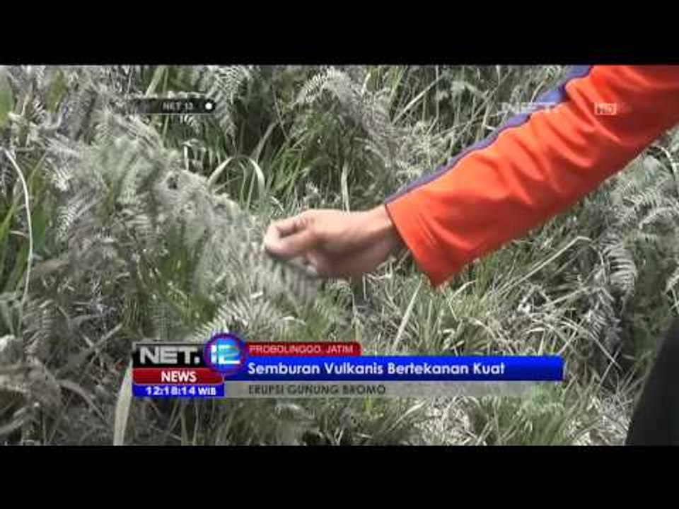 Erupsi Bromo, Semburan Abu Capai Radius 15 Kilometer - NET12