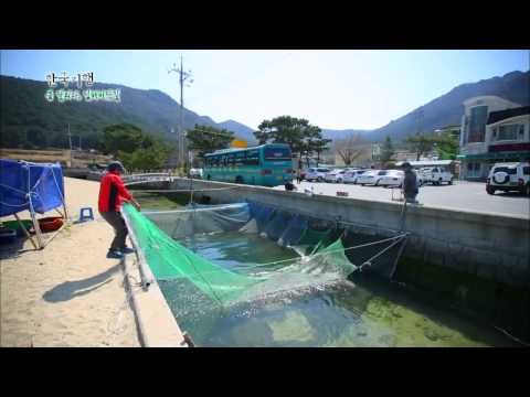 한국기행 - Korea travel_봄 달리다 남해바닷길 2부 숭어를 기다리며 거제_#001