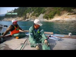 한국기행 - Korea travel_봄 달리다 남해바닷길 2부 숭어를 기다리며 거제_#002