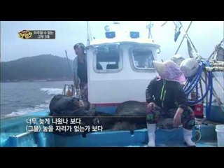 다문화 고부열전 - 마주할 수 없는 고부 3대_#001