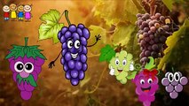 Baby Rhymes   Grapes Family Finger Songs   Finger Family Rhymes