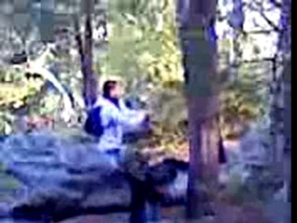 baston dans les bois !!