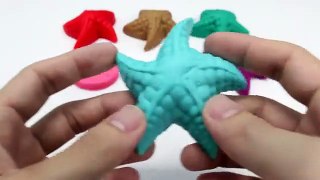 Learning Colors Shapes & Sizes with Wooden Bo