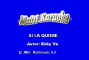 Los Horoscopos De Durango - Si La Quieres (Karaoke)