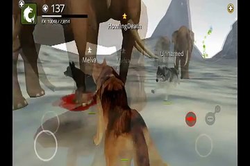Wolf Game, Wolf Online Playing Video