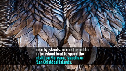 In the Footsteps of Charles Darwin