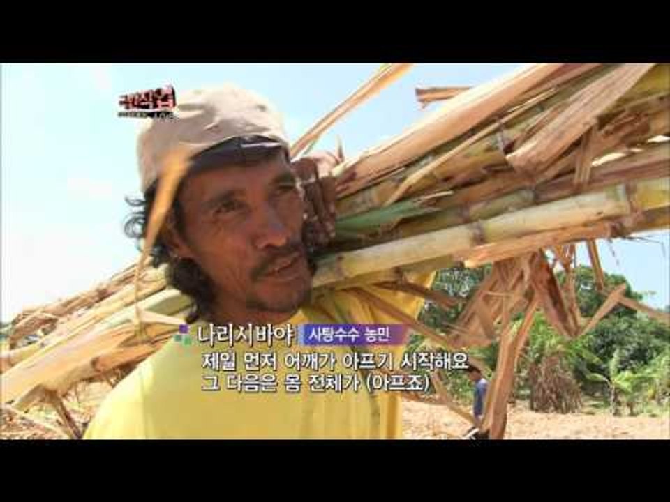 [극한직업/Extreme JOB]  필리핀 사탕수수 농장 제1부