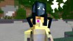 Ocelot Life / Villager Life / Skeleton Life Craftronix Minecraft Animation