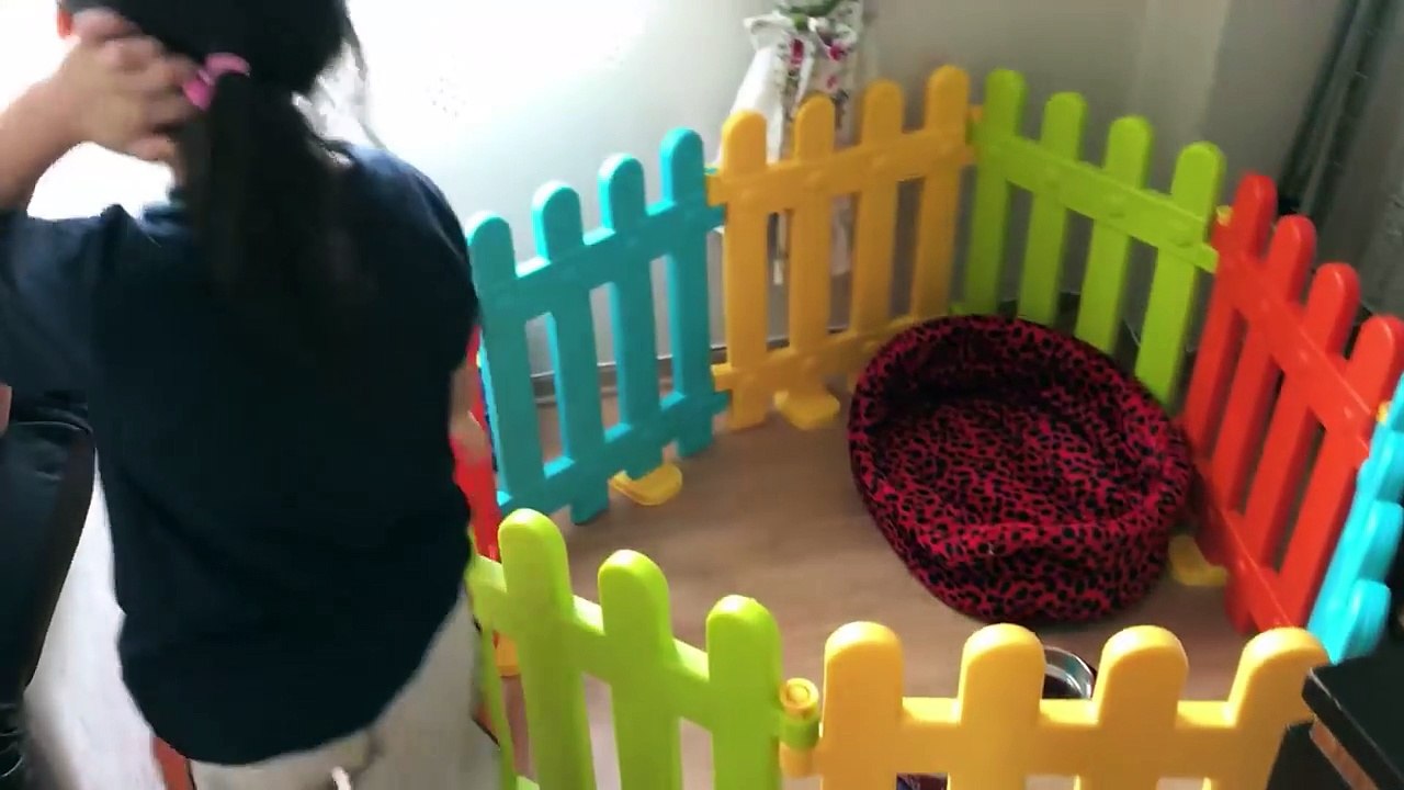 EN ÇOK ABURCUBURU BULAN KAZANIR !!! Bulamayan Öykü Yine Ağlar